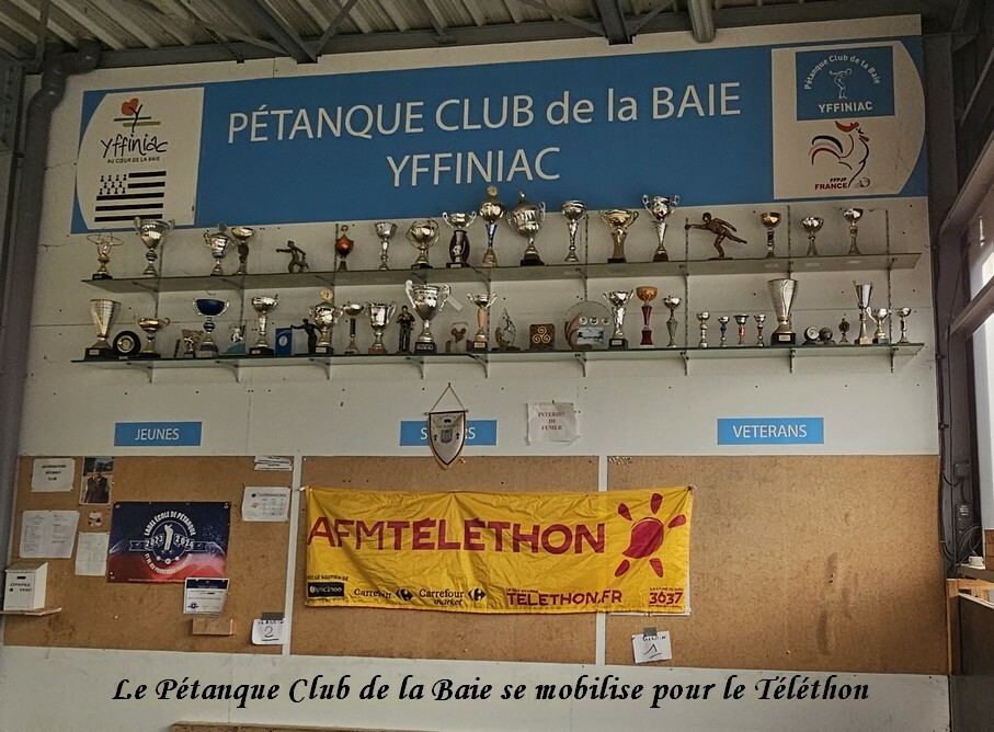 Tournoi De P Tanque Au B N Fice Du T L Thon Petanque Club De La Baie