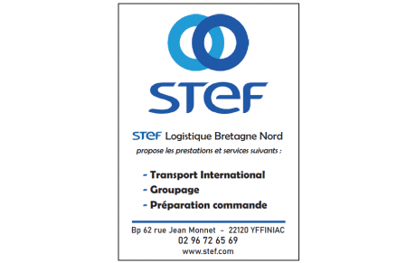 STEF